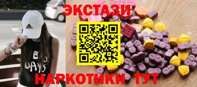 стаф Тула